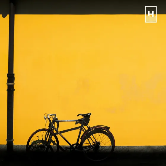 Yellow Loud Things, Yellowland Collective